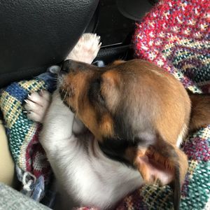 Meet your Posher, Damien